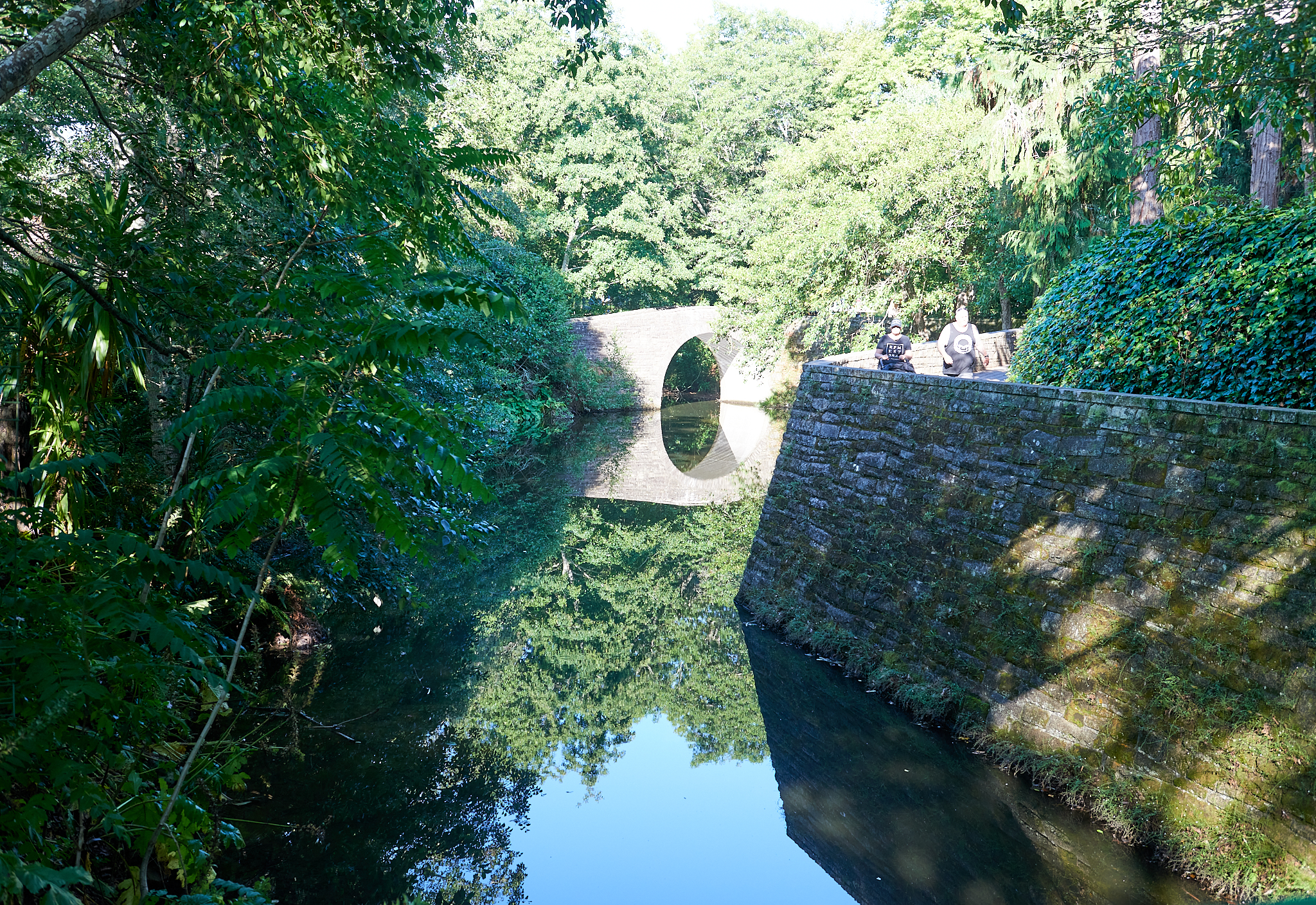 20180129 054 뉴질랜드 해밀턴 가든